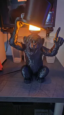 https://makerworld.bblmw.com/makerworld/comment/20260221/32159010/63bba5f9b6ef6497.jpg
