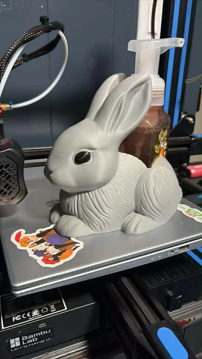 https://makerworld.bblmw.com/makerworld/comment/20260221/3383715251/59d42df00645599d.jpg