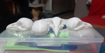 https://makerworld.bblmw.com/makerworld/comment/20260221/3512225983/58f06a01a06db994.png