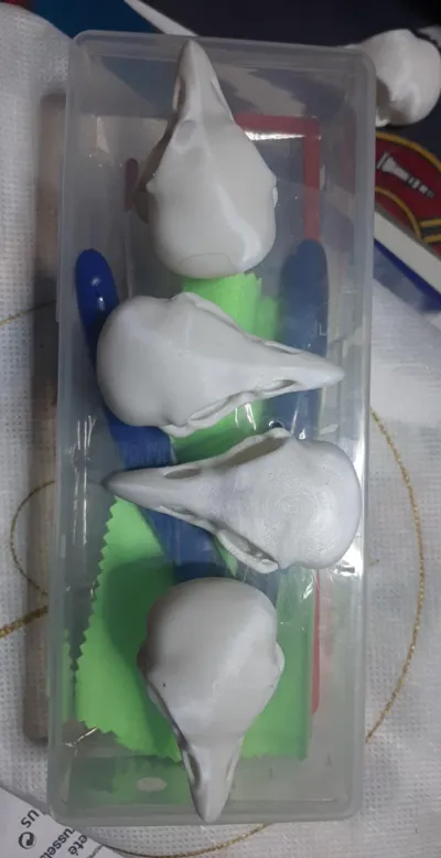 https://makerworld.bblmw.com/makerworld/comment/20260221/3512225983/da0511e29c3e294f.png