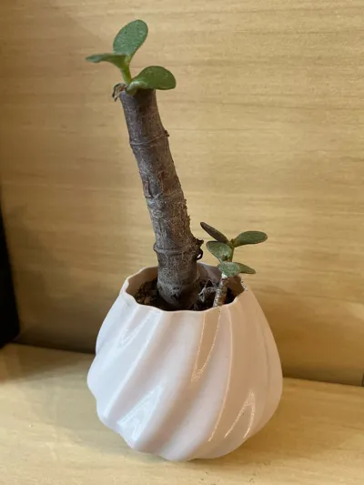 https://makerworld.bblmw.com/makerworld/comment/20260221/3560409470/2671a4359a53dcb6.jpg