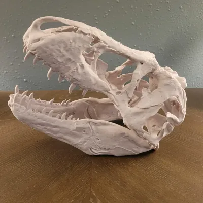 https://makerworld.bblmw.com/makerworld/comment/20260221/4108261583/592ddba53d921728.jpg