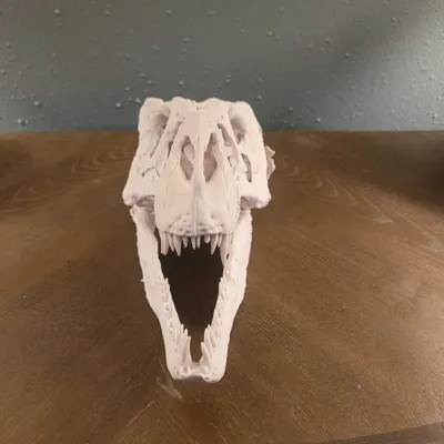 https://makerworld.bblmw.com/makerworld/comment/20260221/4108261583/6526ee94e2b3e430.jpg