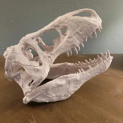 https://makerworld.bblmw.com/makerworld/comment/20260221/4108261583/8c6fc95dcf98e3d4.jpg