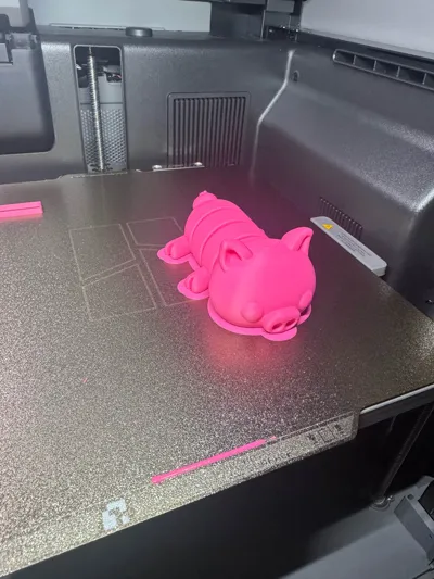 https://makerworld.bblmw.com/makerworld/comment/20260221/4128945257/34e24162460e81ea.jpg