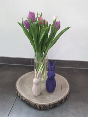 https://makerworld.bblmw.com/makerworld/comment/20260221/4242250519/d92a051dfa2c406c.jpg
