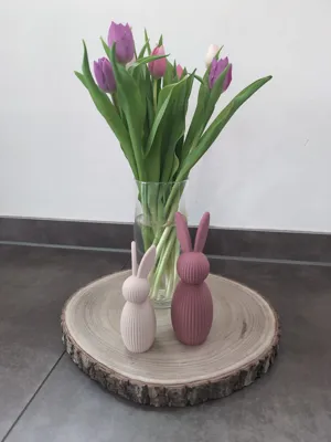 https://makerworld.bblmw.com/makerworld/comment/20260221/4242250519/ddb5c79f0ea82595.jpg
