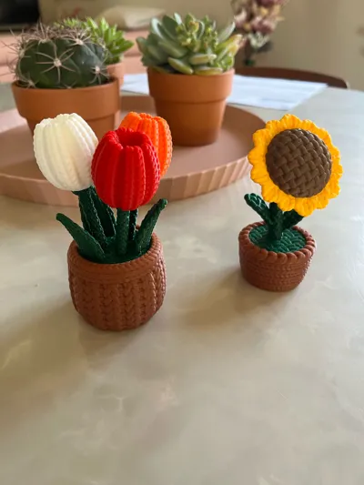 https://makerworld.bblmw.com/makerworld/comment/20260221/501885860/07bc37365dcb2ed6.jpg