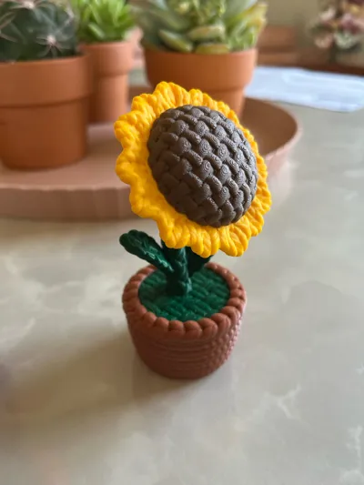 https://makerworld.bblmw.com/makerworld/comment/20260221/501885860/66a9327c957b7049.jpg