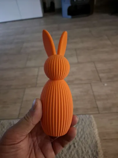 https://makerworld.bblmw.com/makerworld/comment/20260221/978668349/22dad7e2b3d6f0c6.jpg