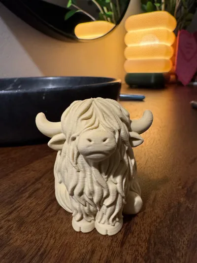 https://makerworld.bblmw.com/makerworld/comment/20260221/989485011/7b7042cdd4492320.jpg
