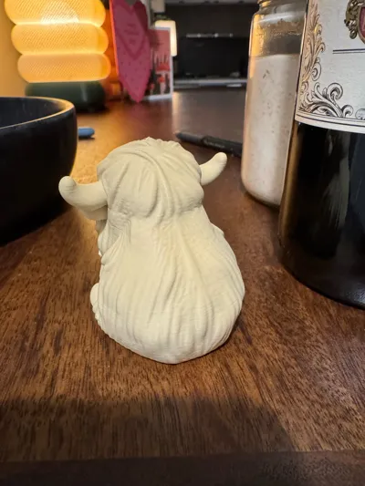 https://makerworld.bblmw.com/makerworld/comment/20260221/989485011/98cdc770bb2d8267.jpg
