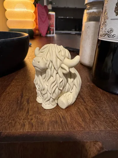 https://makerworld.bblmw.com/makerworld/comment/20260221/989485011/a50c27eee3855929.jpg