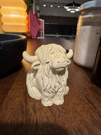 https://makerworld.bblmw.com/makerworld/comment/20260221/989485011/eb3853ec467af568.jpg