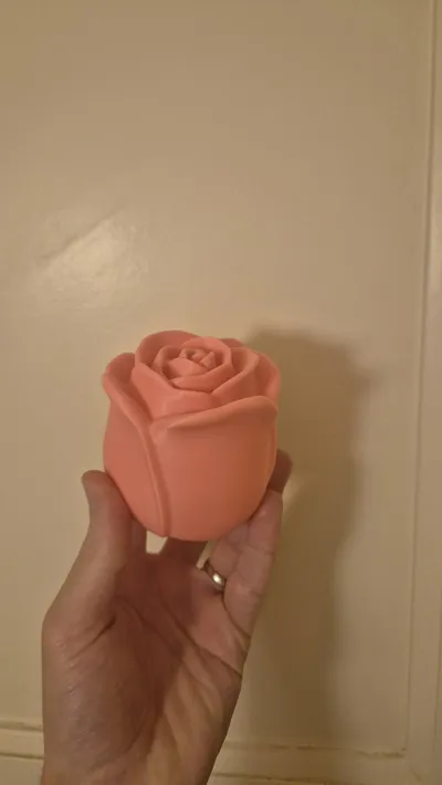 https://makerworld.bblmw.com/makerworld/comment/20260222/1122772099/9e54c15d6aeb5869.jpg