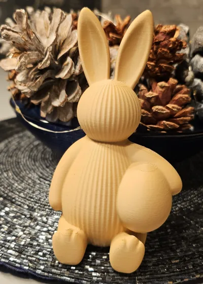 https://makerworld.bblmw.com/makerworld/comment/20260222/1173095296/1b0825855d08ad83.jpg