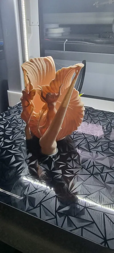 https://makerworld.bblmw.com/makerworld/comment/20260222/1250071100/993716f9f0e1fc6a.jpg