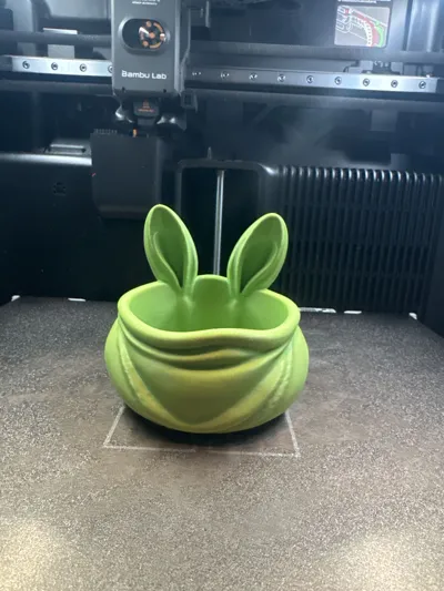 https://makerworld.bblmw.com/makerworld/comment/20260222/1265016096/a260428969bf9276.jpg