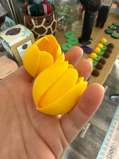 https://makerworld.bblmw.com/makerworld/comment/20260222/1442700351/3d5587fff89c7628.jpg
