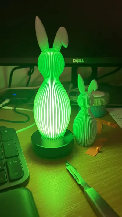 https://makerworld.bblmw.com/makerworld/comment/20260222/1486618831/aa258c4145fd32c3.jpg