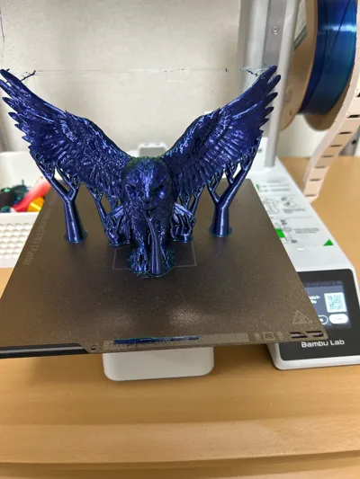 https://makerworld.bblmw.com/makerworld/comment/20260222/1551966204/9def46dce1a748bd.jpg