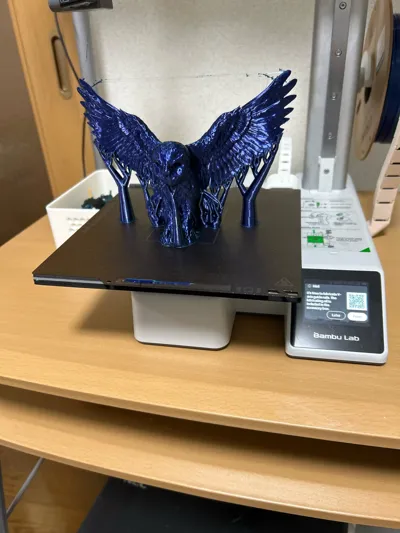 https://makerworld.bblmw.com/makerworld/comment/20260222/1551966204/f0574f12dff138c0.jpg