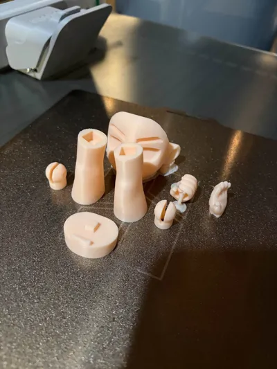 https://makerworld.bblmw.com/makerworld/comment/20260222/1553421621/068669cfe13f7127.jpg