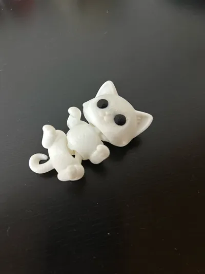 https://makerworld.bblmw.com/makerworld/comment/20260222/1707716493/402f76a7fde624be.jpg