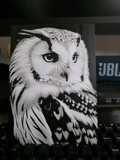 https://makerworld.bblmw.com/makerworld/comment/20260222/1955666490/a4a7b41e2e00d348.jpg