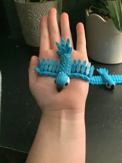https://makerworld.bblmw.com/makerworld/comment/20260222/2106973151/2b485cc0bc9d590c.jpg