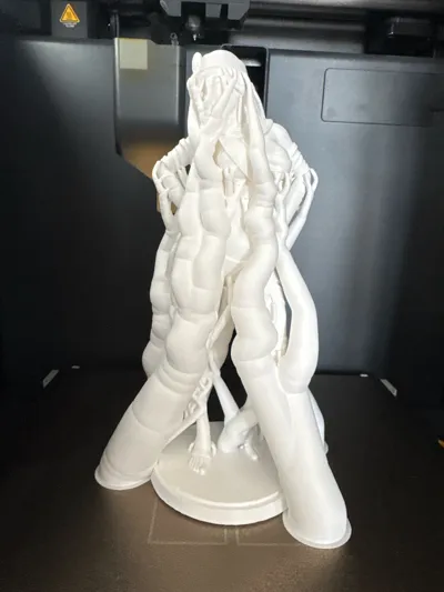 https://makerworld.bblmw.com/makerworld/comment/20260222/2173181066/eebda813638aa2f8.jpg