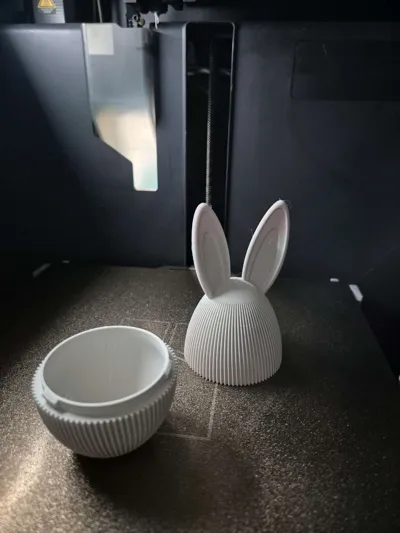 https://makerworld.bblmw.com/makerworld/comment/20260222/2372352506/00889c40894cf098.jpg