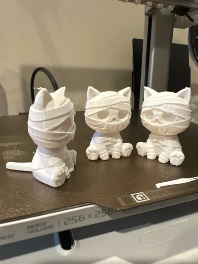 https://makerworld.bblmw.com/makerworld/comment/20260222/2403025939/aae2f4a1d96adb3f.jpg
