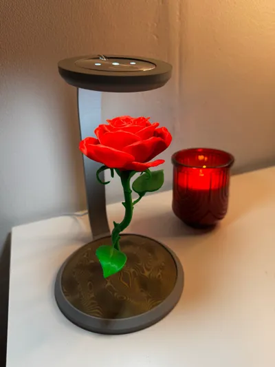 https://makerworld.bblmw.com/makerworld/comment/20260222/2503264981/1ee15825b4f19125.jpg