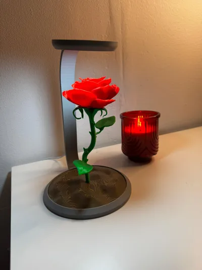https://makerworld.bblmw.com/makerworld/comment/20260222/2503264981/fc52d25afd8a6177.jpg
