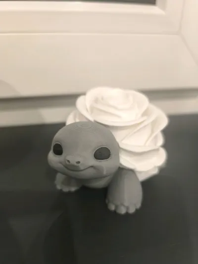 https://makerworld.bblmw.com/makerworld/comment/20260222/2633918489/47e4555c59924cd0.jpg