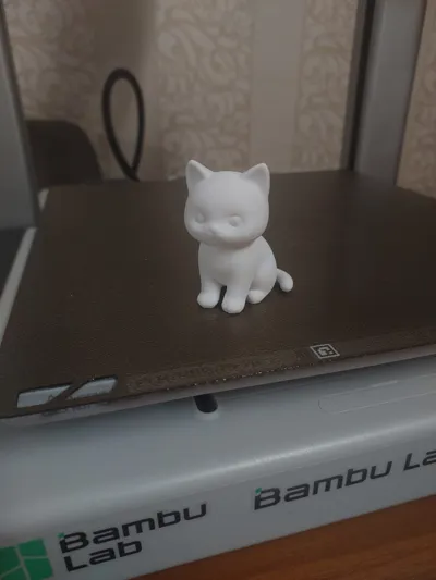 https://makerworld.bblmw.com/makerworld/comment/20260222/2963348161/46d136d08d0a3cfa.jpeg