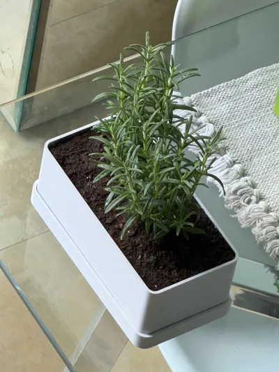 https://makerworld.bblmw.com/makerworld/comment/20260222/3350508147/d6f216cef6814441.jpg