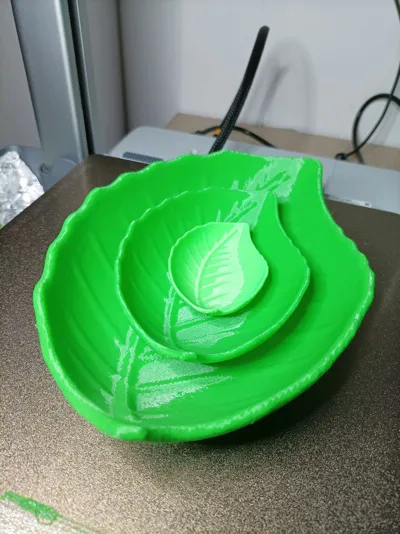 https://makerworld.bblmw.com/makerworld/comment/20260222/336272463/90f29dbdb1bce361.jpg