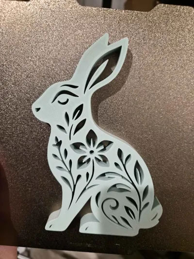 https://makerworld.bblmw.com/makerworld/comment/20260222/344642237/2c95690a267f8747.jpg