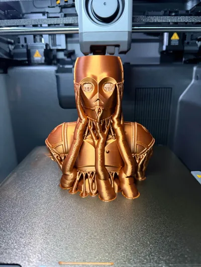 https://makerworld.bblmw.com/makerworld/comment/20260222/3484014042/6f8e43ae619e641a.jpg