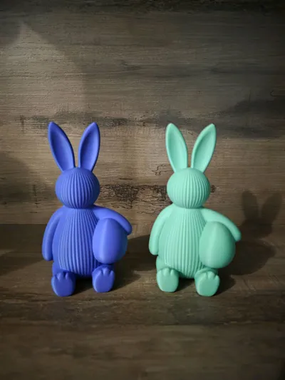 https://makerworld.bblmw.com/makerworld/comment/20260222/3608623779/c34ad5d674163560.jpg
