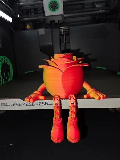 https://makerworld.bblmw.com/makerworld/comment/20260222/3714937159/e0a866e256d5a262.jpg