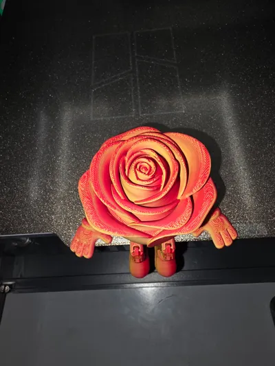 https://makerworld.bblmw.com/makerworld/comment/20260222/3714937159/fbcf64a4879c14df.jpg