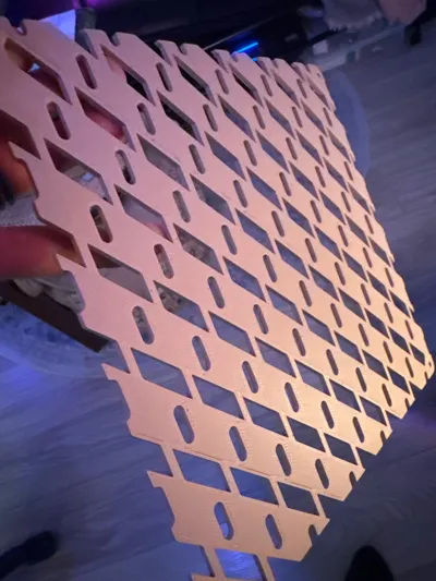 https://makerworld.bblmw.com/makerworld/comment/20260222/3755763626/d010ad3ad84eb7f6.jpg