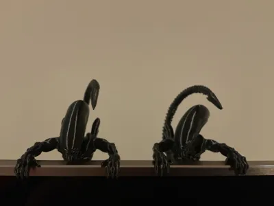 https://makerworld.bblmw.com/makerworld/comment/20260222/3769041419/83a033a741012606.jpg