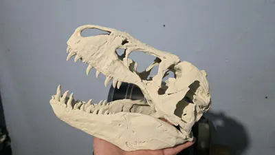 https://makerworld.bblmw.com/makerworld/comment/20260222/4085151925/9befbbe1042d49b2.jpg