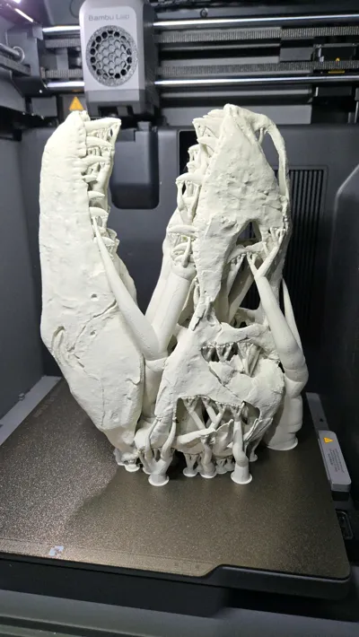 https://makerworld.bblmw.com/makerworld/comment/20260222/4085151925/a5db42f2fadd6dc3.jpg