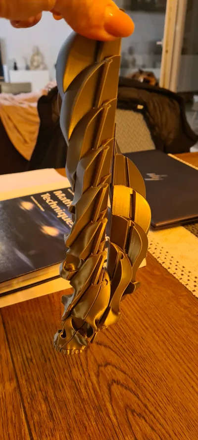 https://makerworld.bblmw.com/makerworld/comment/20260222/588195774/111889eebfd2bd20.jpg