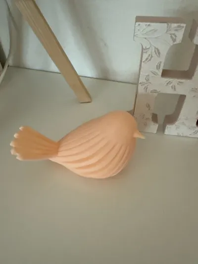 https://makerworld.bblmw.com/makerworld/comment/20260222/651713056/54c72cdfb4058f7f.jpg